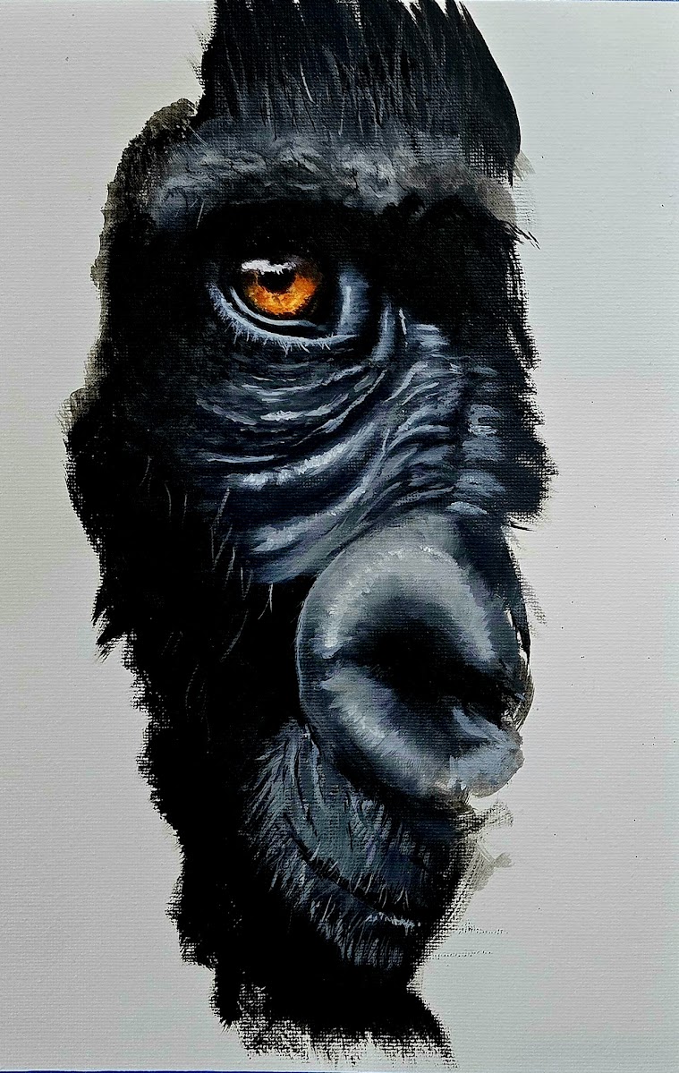 Gorilla