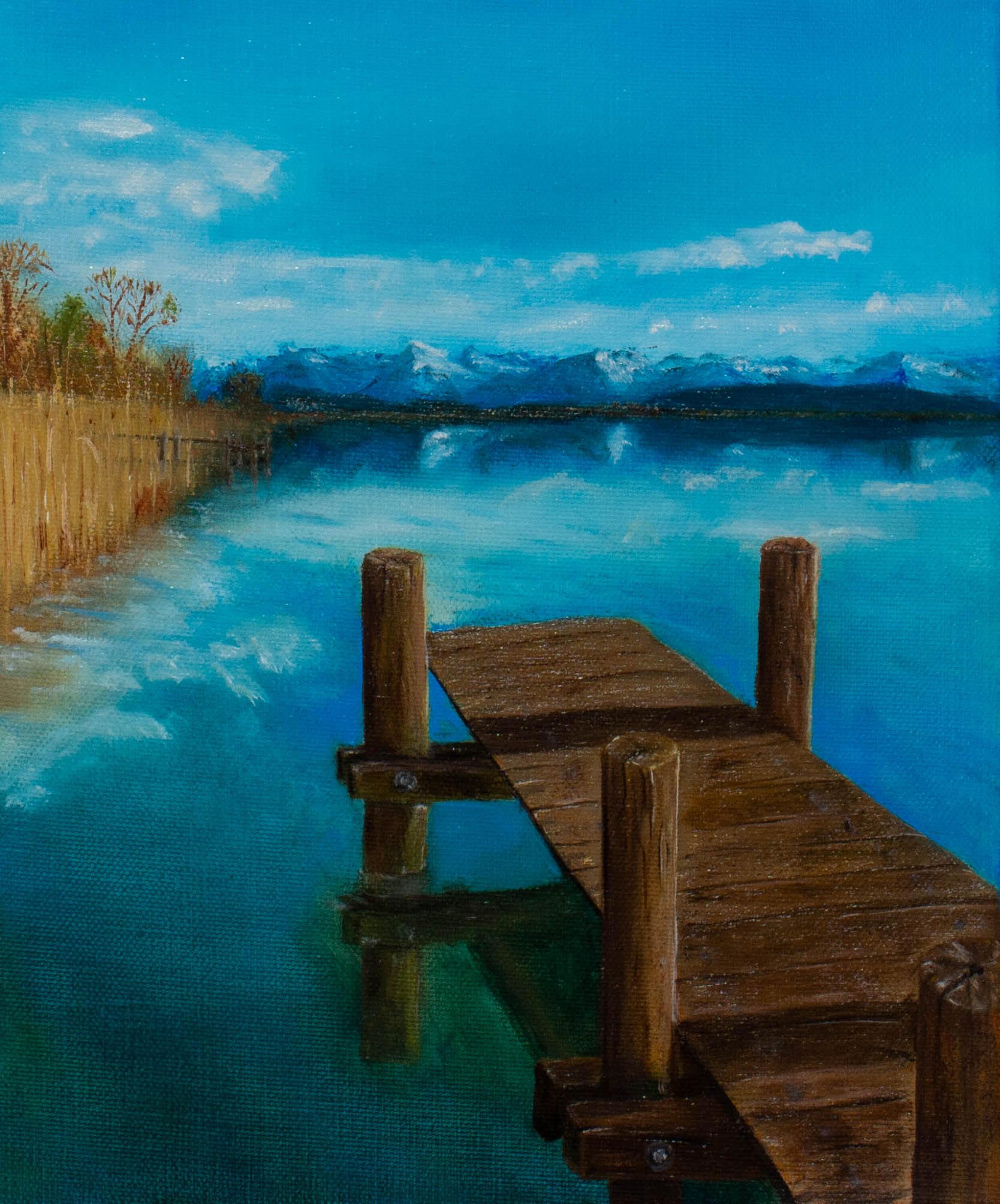 Quiet Morning at Greifensee